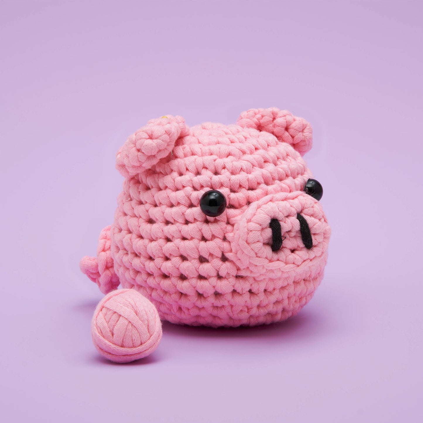 Bacon the Pig Beginner Crochet Kit